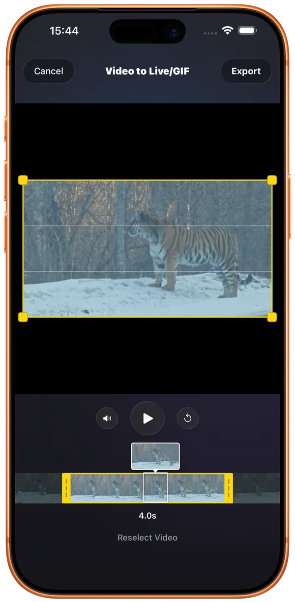 FileBox video to Live Photo and GIF clip selection