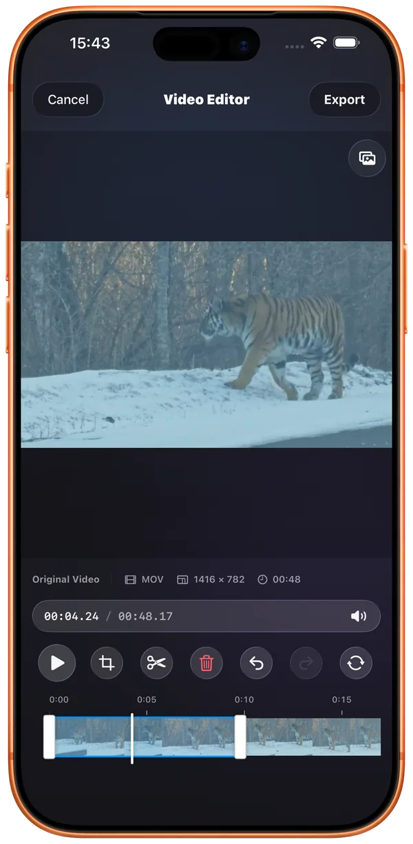 FileBox video editor and timeline