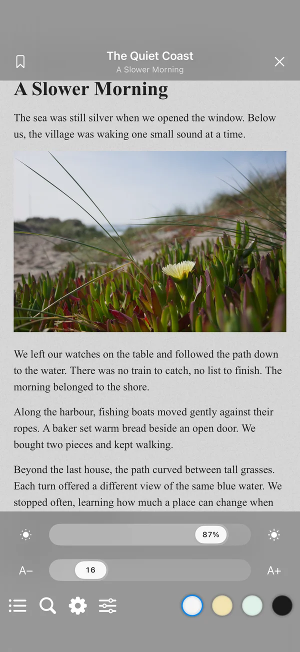 The FileBox EPUB reader with a paper theme and reading settings