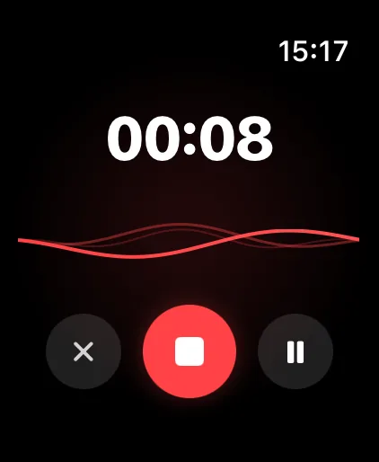 FileBox recording on Apple Watch